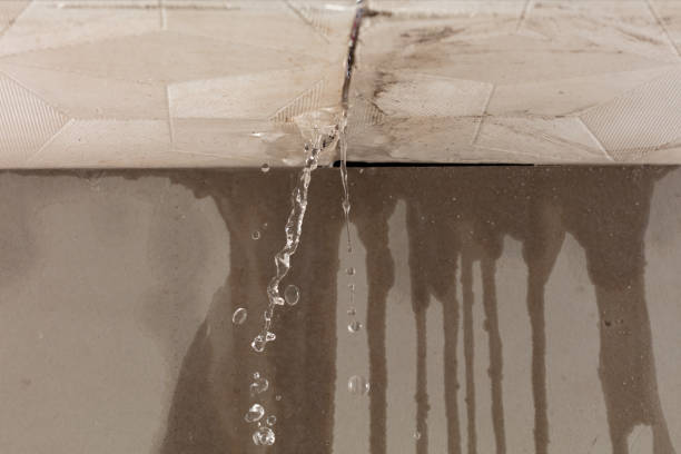 Professional Structural Drying technician working in New Milford, NJ